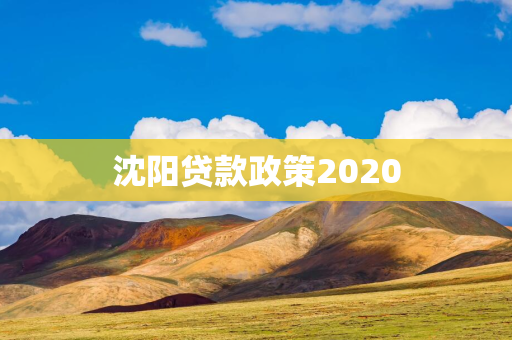  贷款政策2020