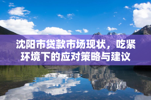 白城市贷款市场现状，吃紧环境下的应对策略与建议