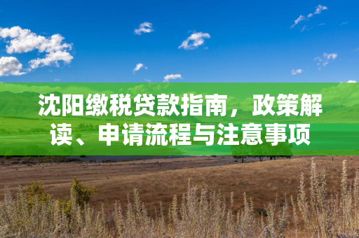 白城缴税贷款指南，政策解读、申请流程与注意事项