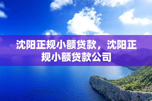 白城正规小额贷款，白城正规小额贷款公司