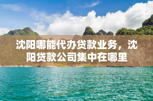 白城哪能代办贷款业务，白城贷款公司集中在哪里